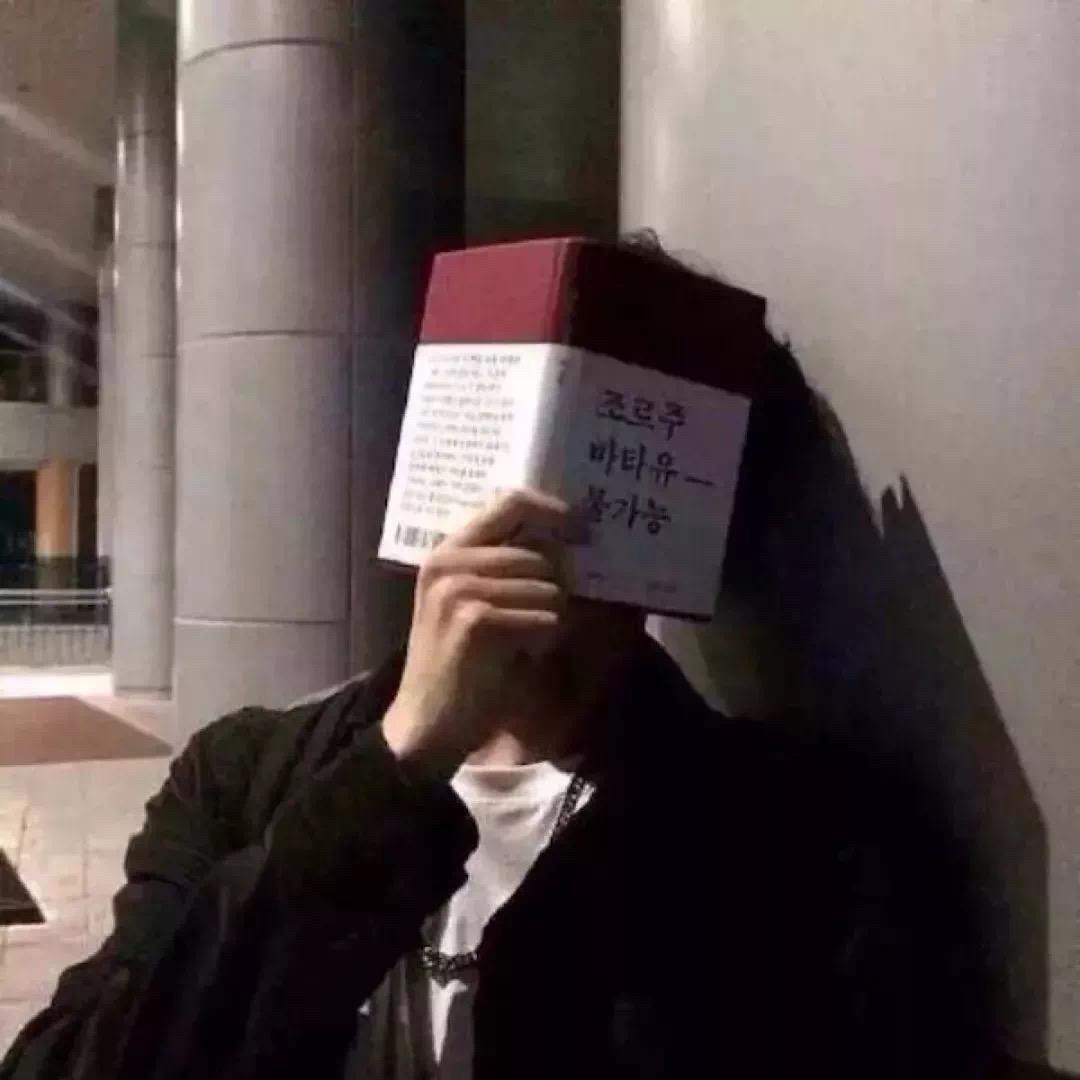 普罗旺斯🥕
