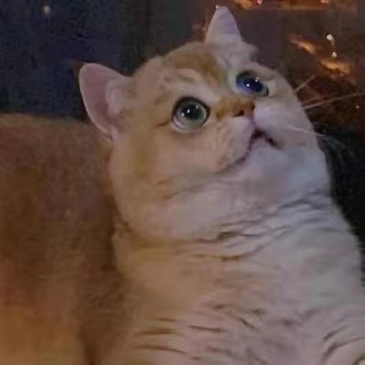 明