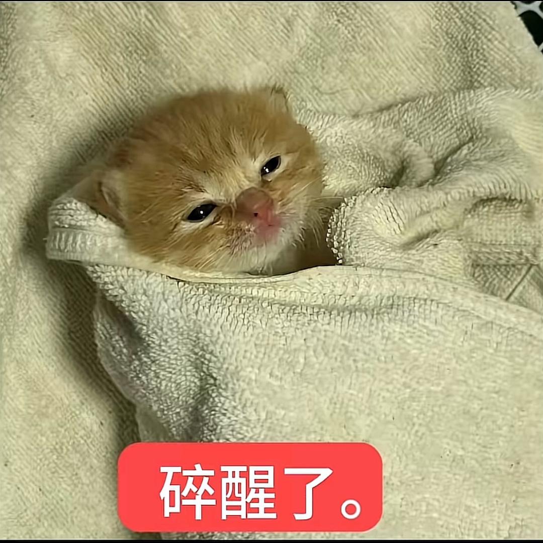小7