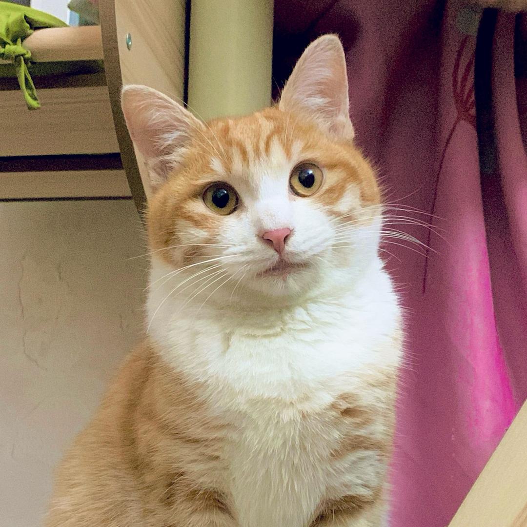 gary