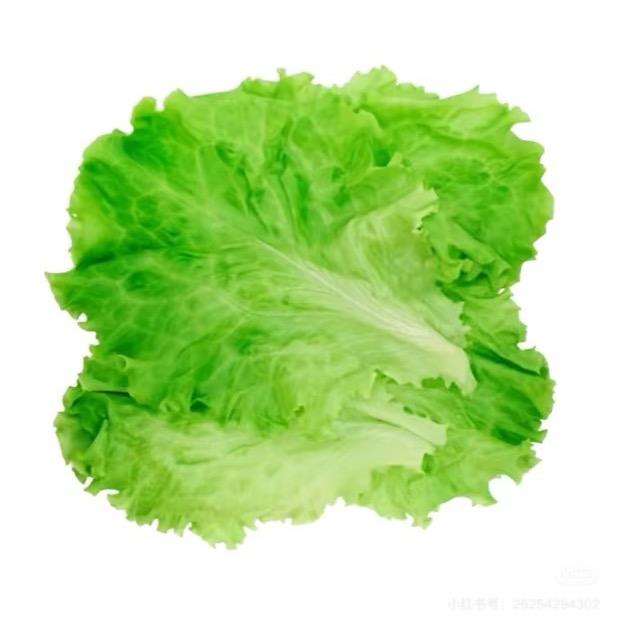 很哇塞的小胖砸.