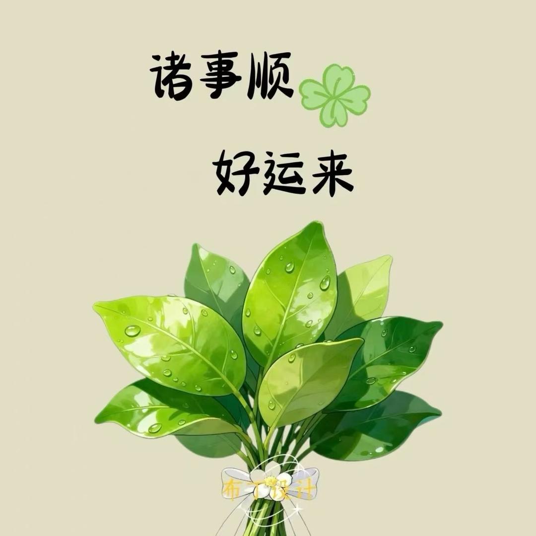 萌城菇凉