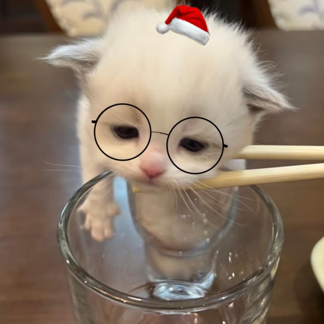 大約在冬季winterrrrr