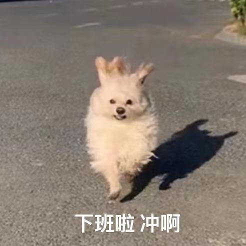 小田小甜头像