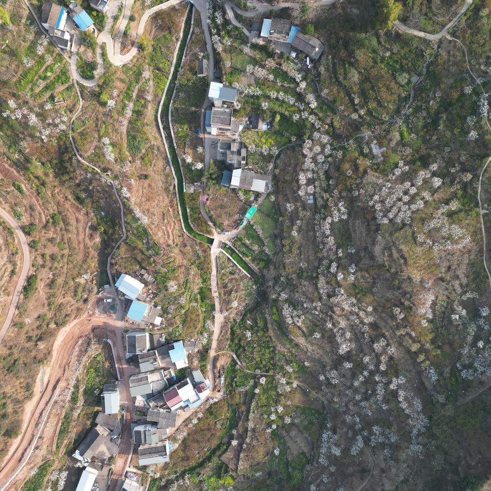 汉源山丘家庭农场