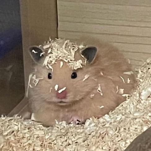 卷啊卷