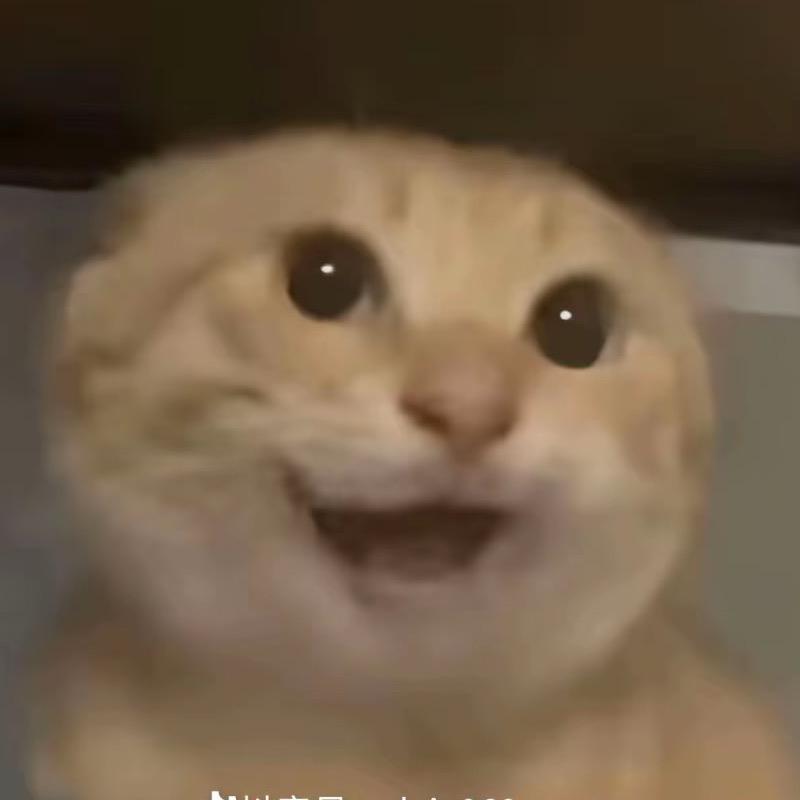 有事就睡觉