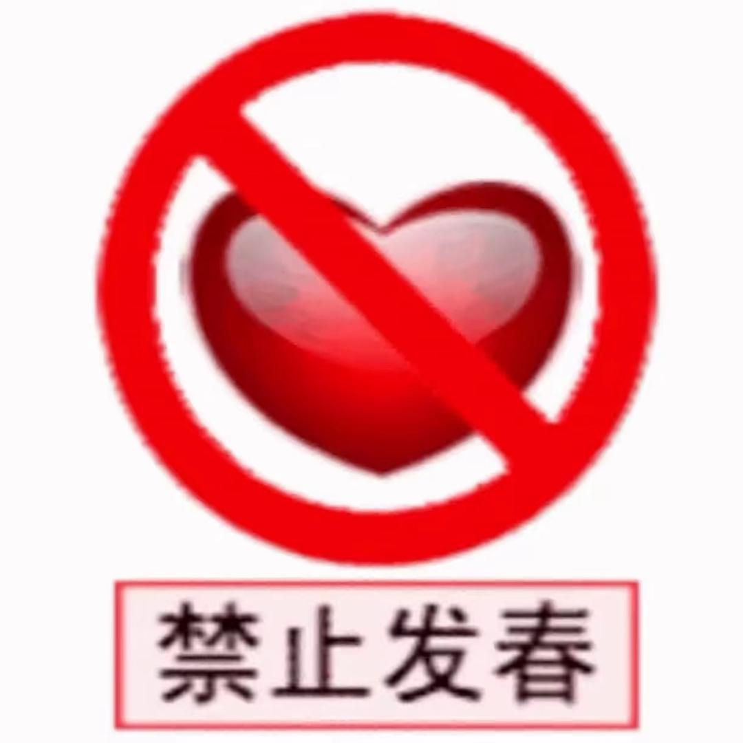 ㅤㅤㅤㅤㅤㅤㅤㅤㅤㅤㅤㅤㅤ