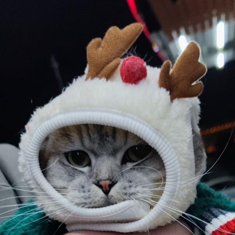 大鹅鹅鹅鹅鹅鹅