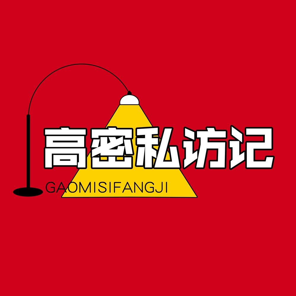 高密私访记