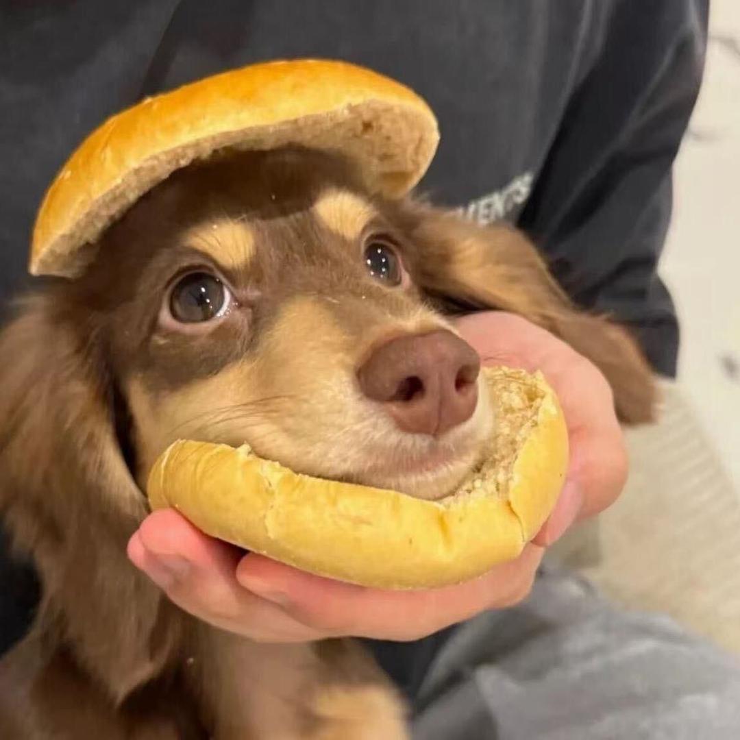 小G.