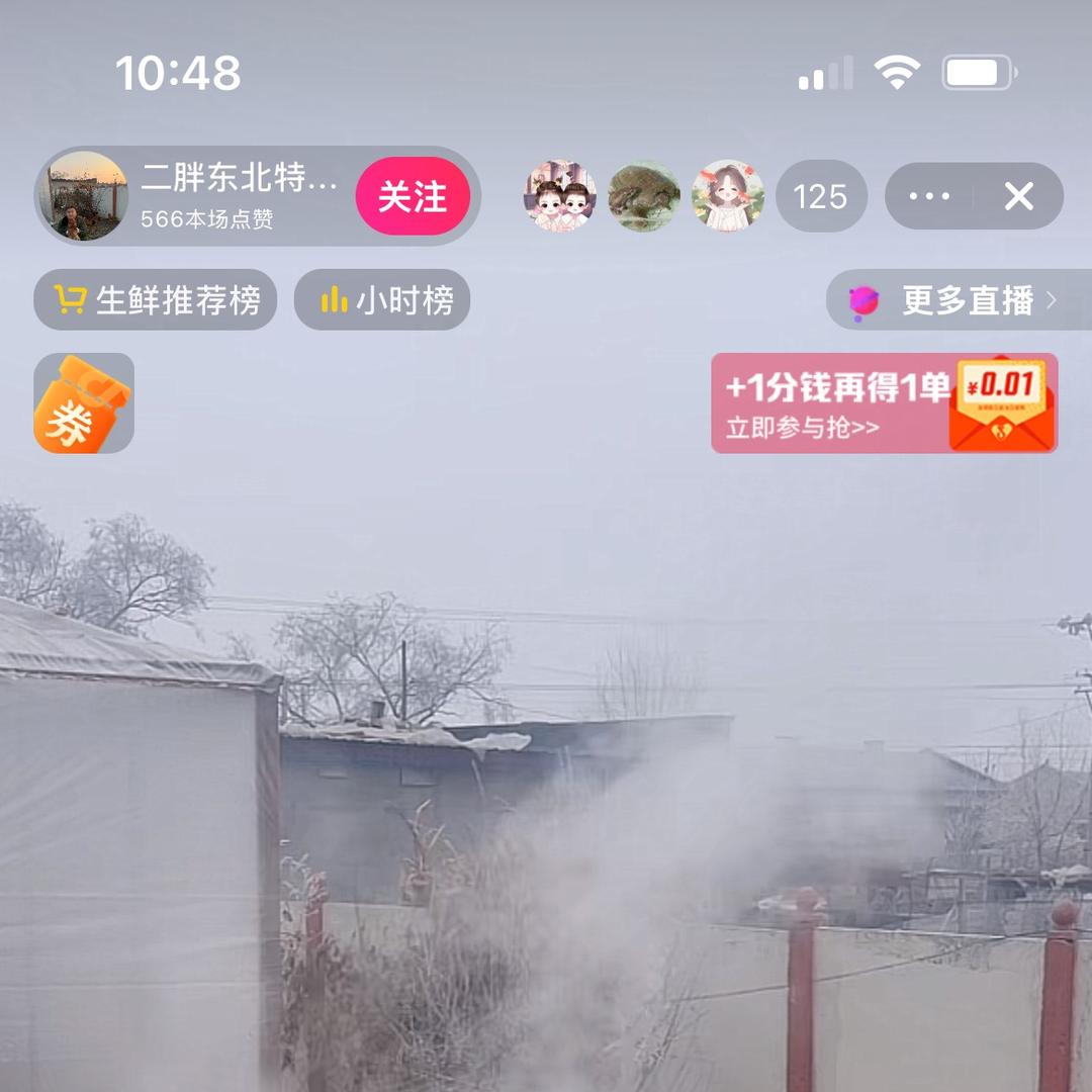东北飞姐