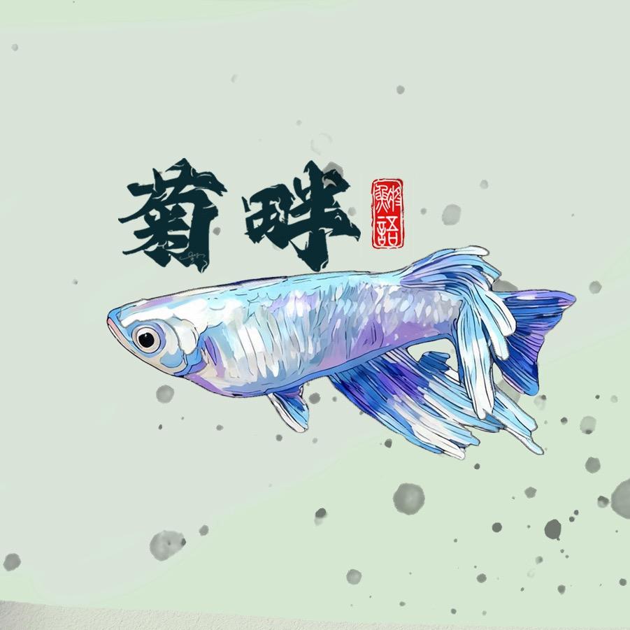 菊畔鱂语戏涟漪
