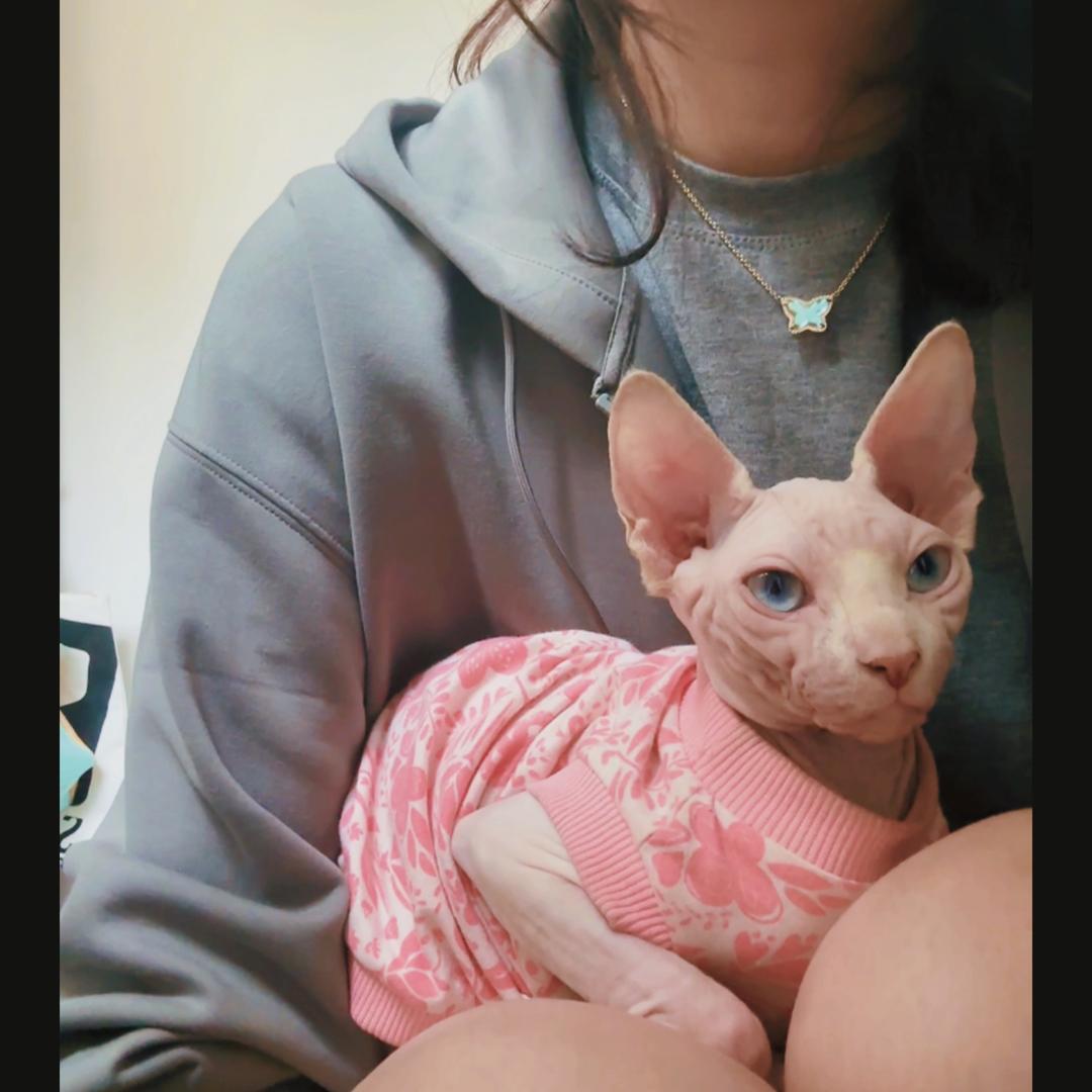 上了发条的姜🖤