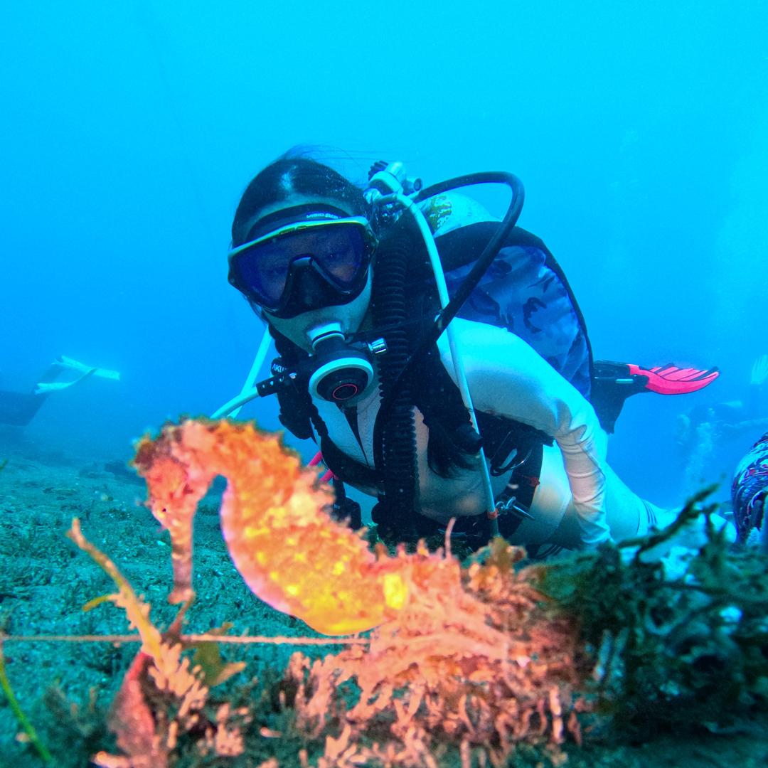黑林铺铺花王二狗