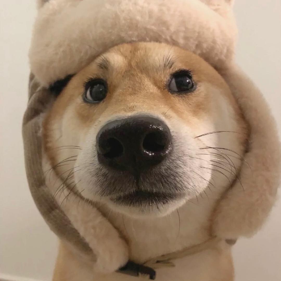 吃不胖·