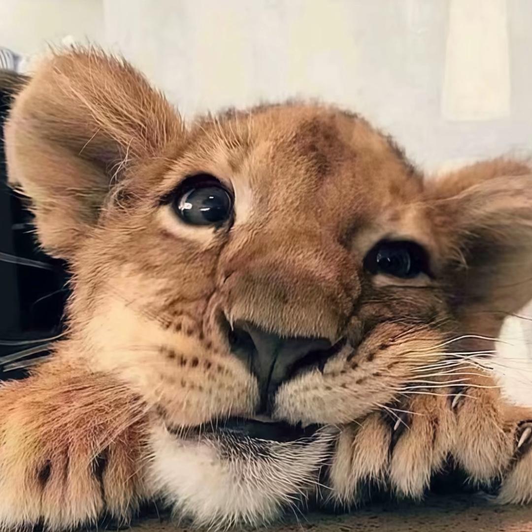 听風
