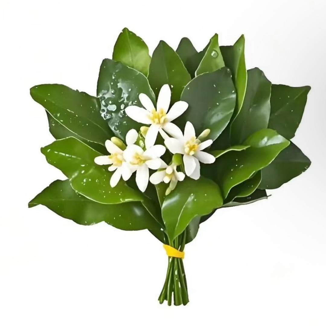 小潘（减肥中）