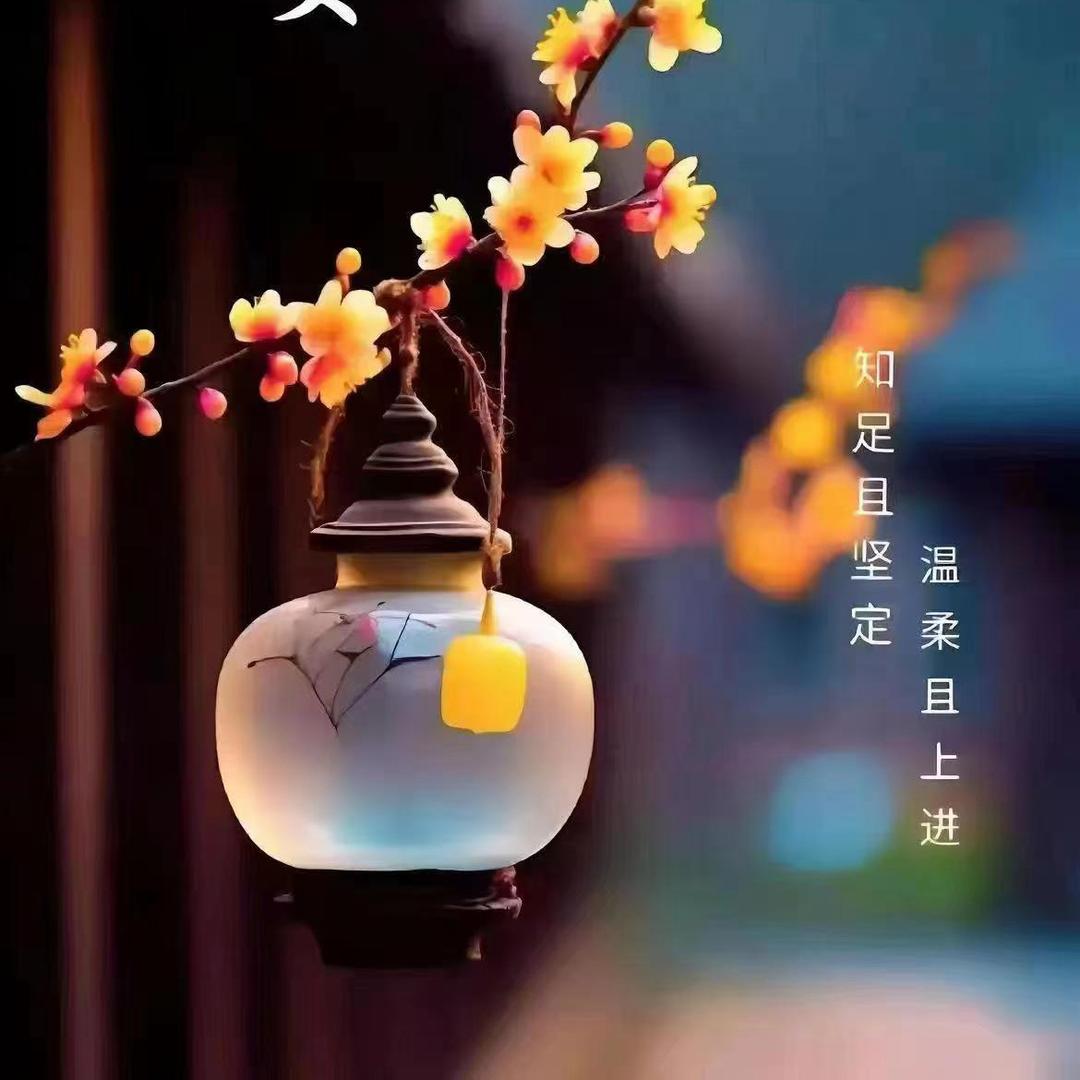 悦享好物优选