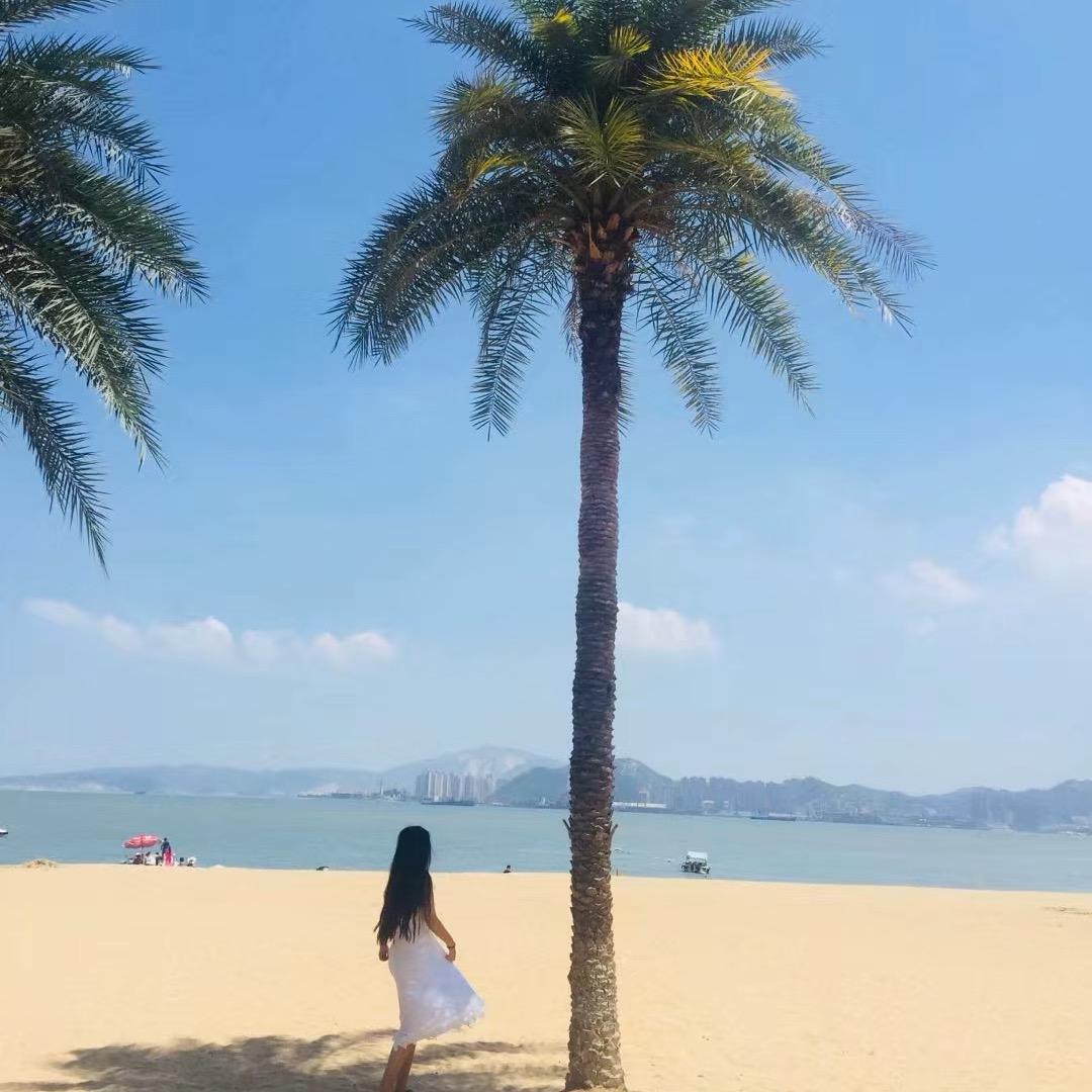 小马