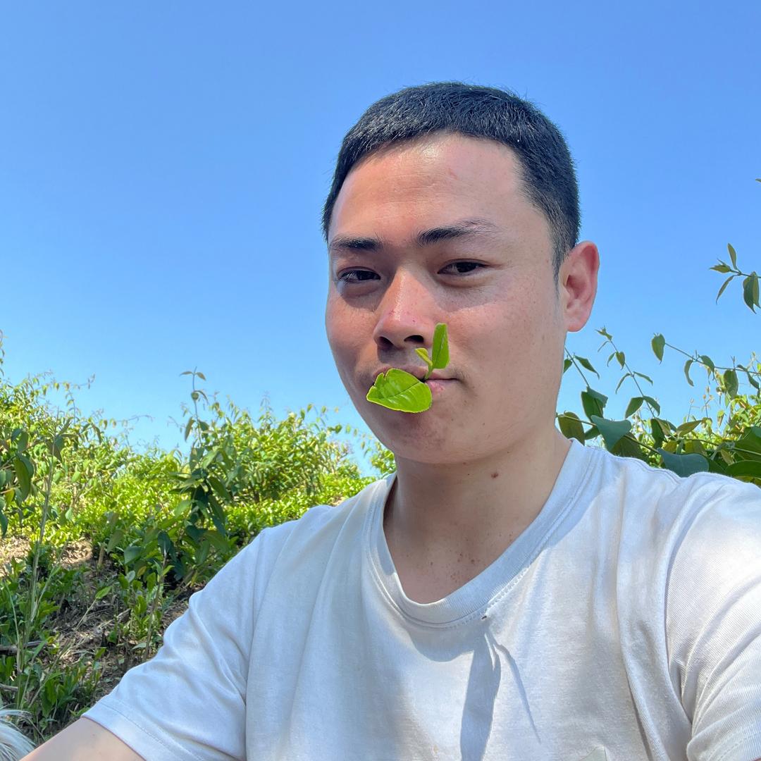 小宇哥的茶