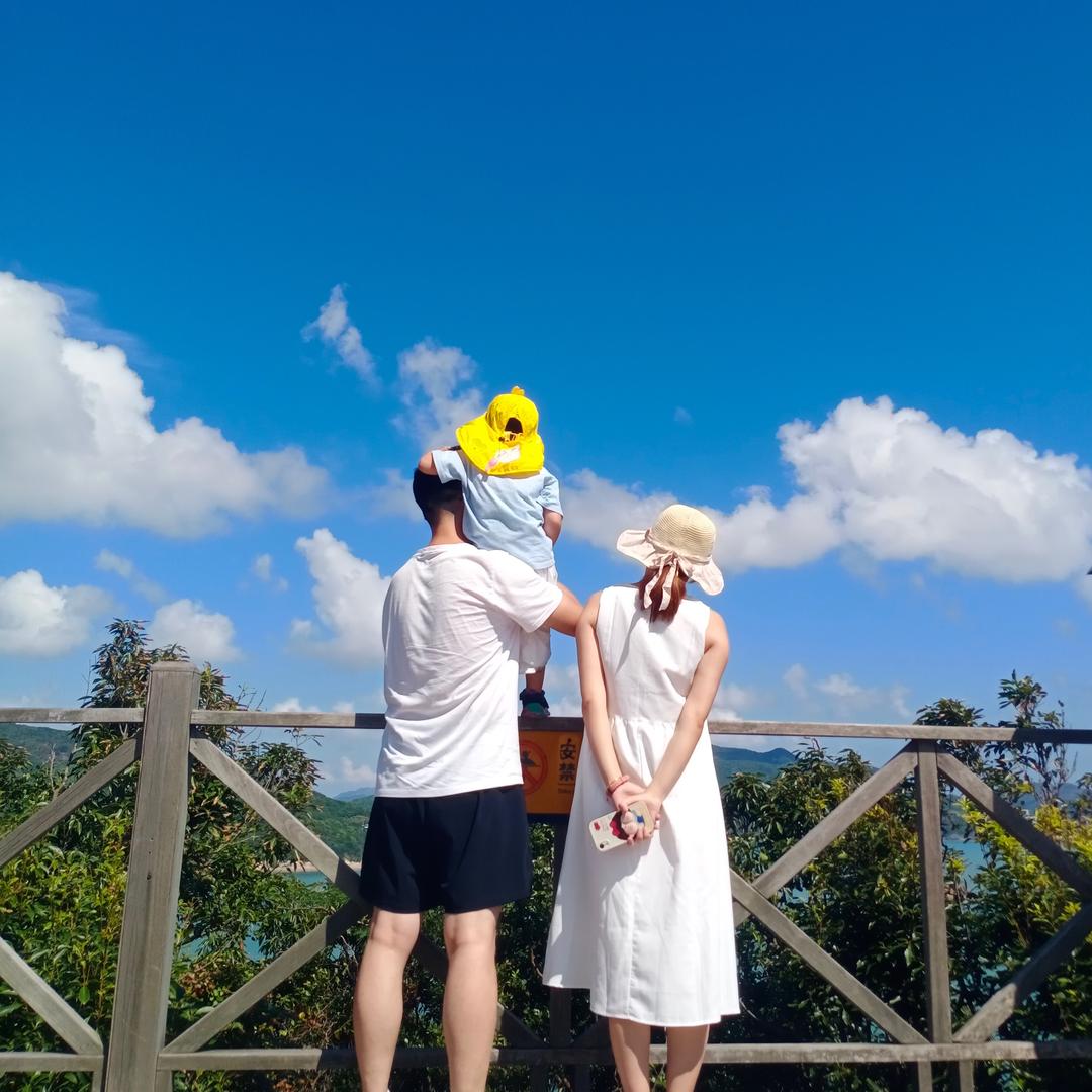 杨杨的生活日记