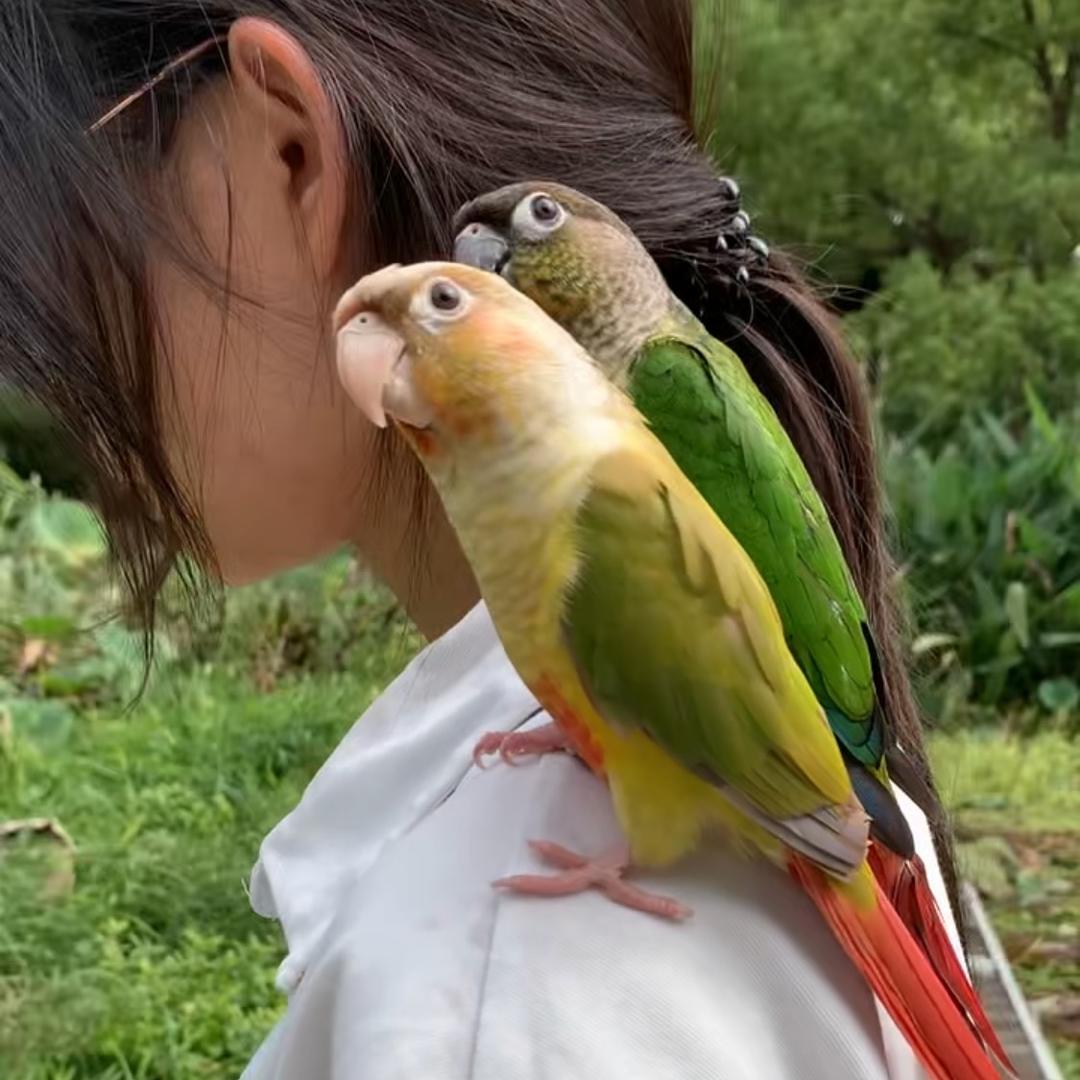 小太阳.
