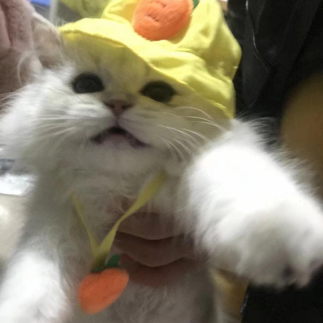 Txvv