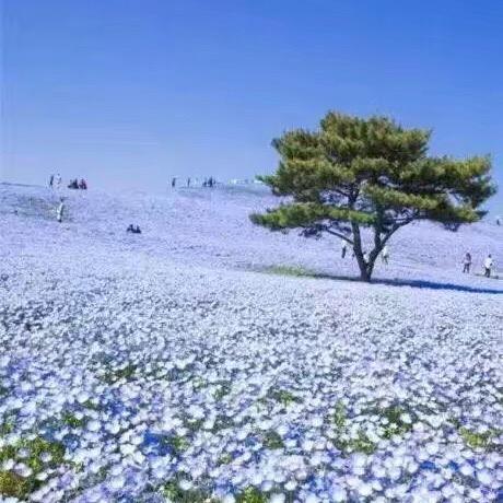 小菜居