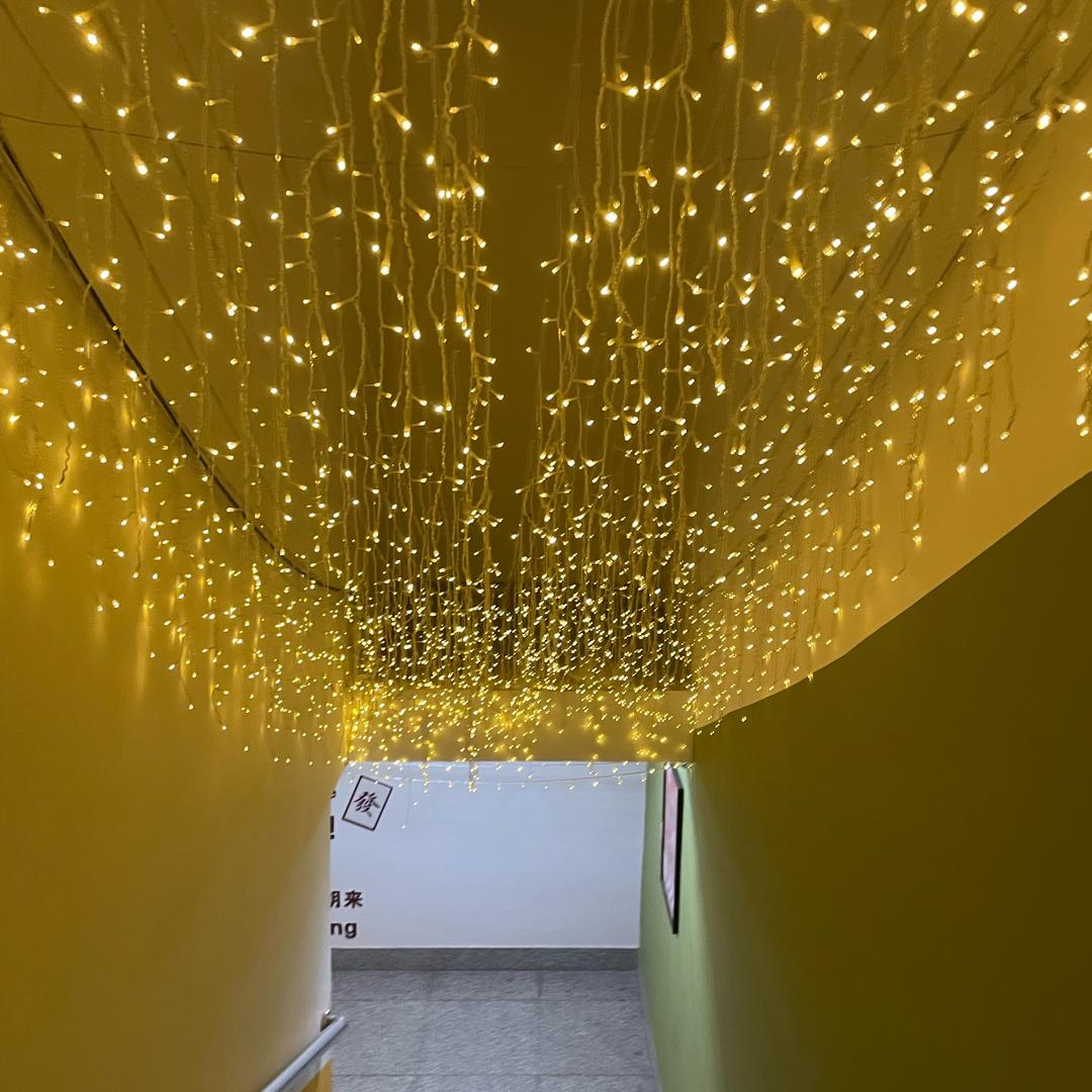 诗尼货蜍曼(绿地缤纷城店)念廷十四直播号