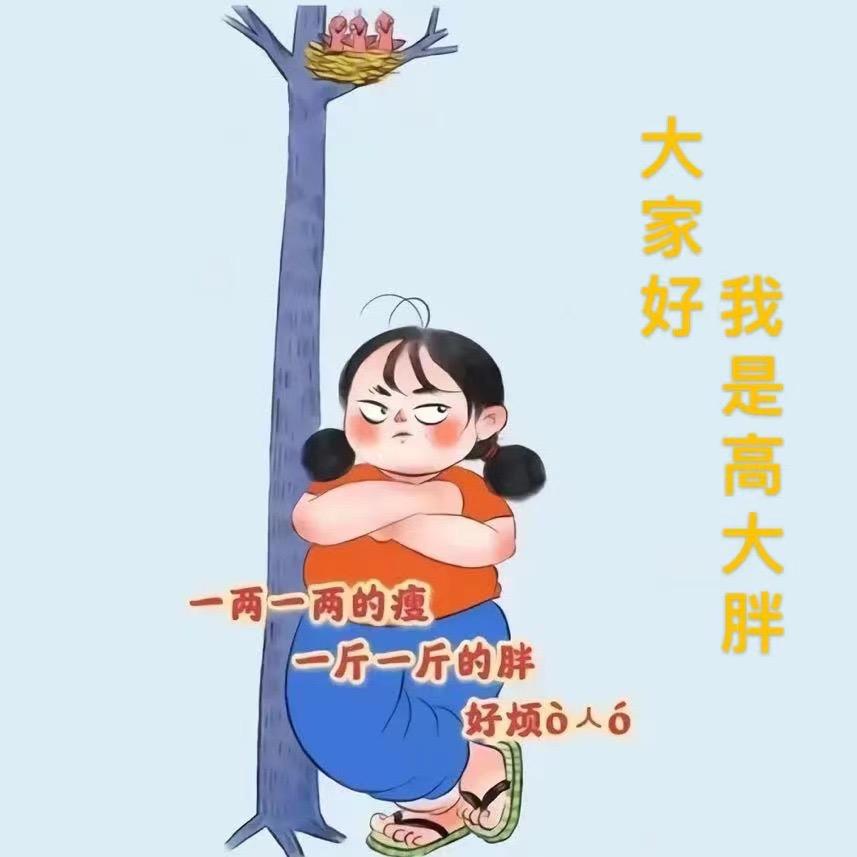 胖宝焙