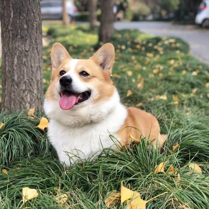 小乔啊啊啊啊啊