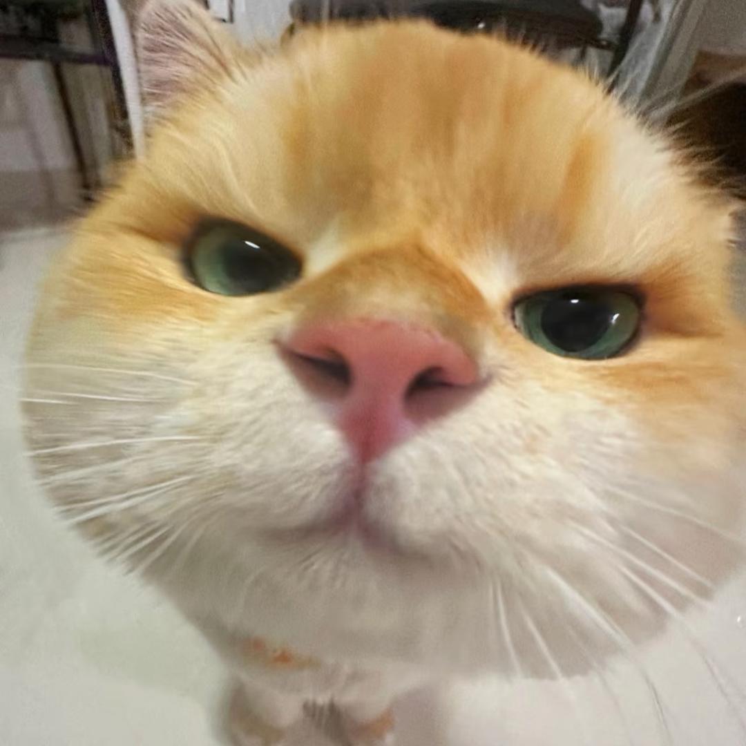 啾宠你
