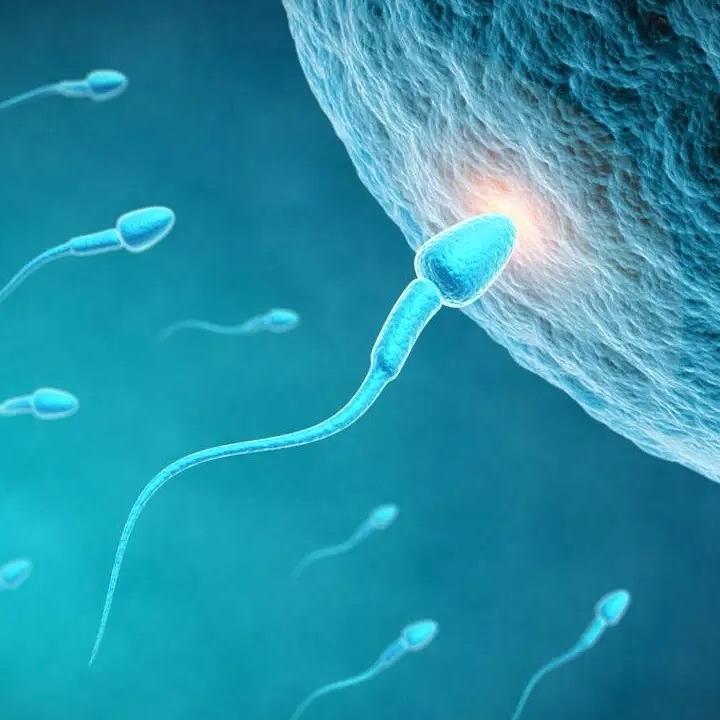 今天你显微了吗