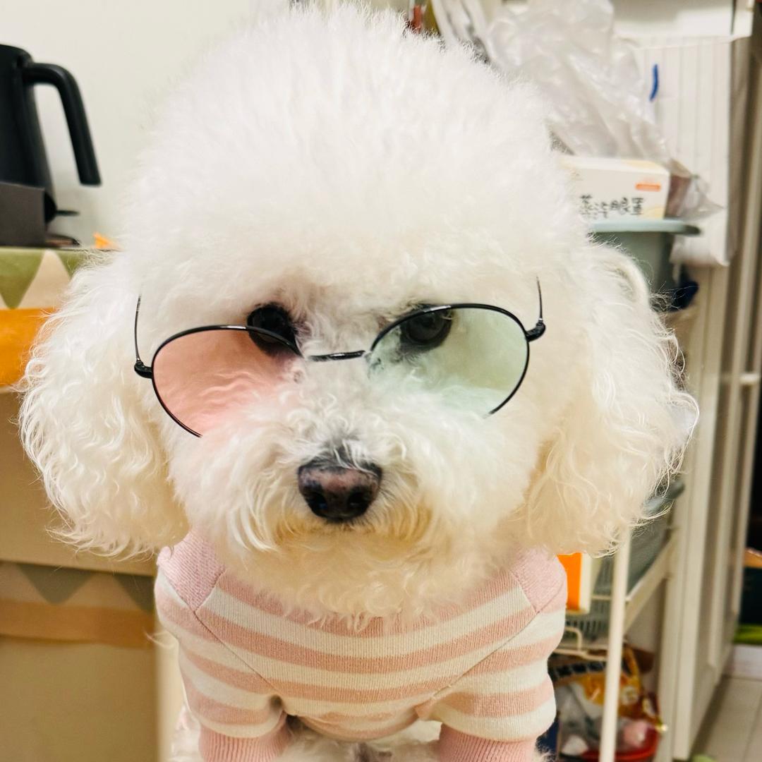 我请问呢！？头像