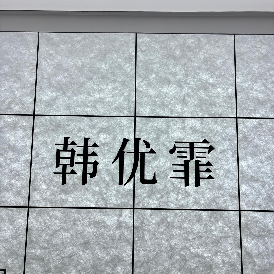 韩优霏