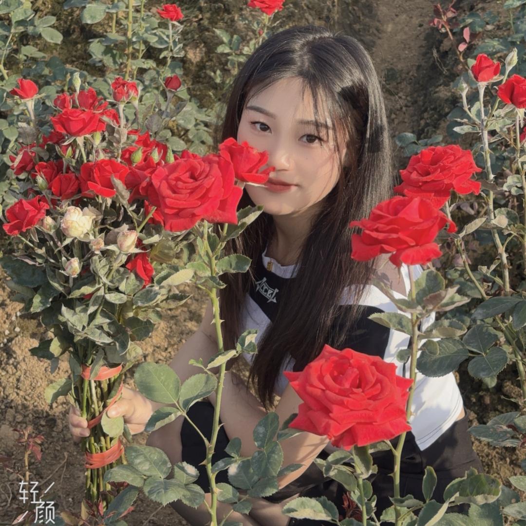 成都华妹二手豪车批发