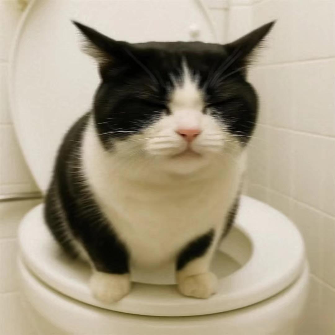 迷惑