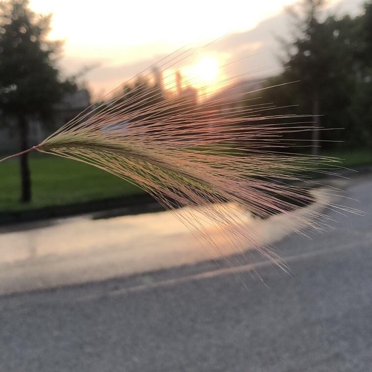 是吴琼的呀