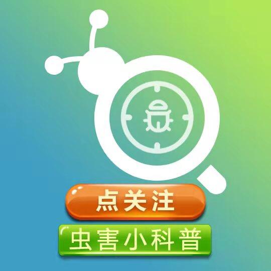虫害小科普