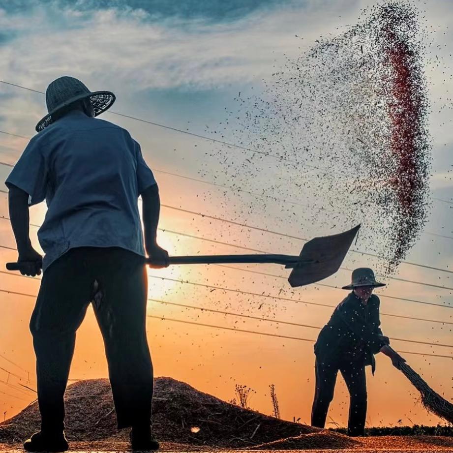 五谷杂粮农货铺