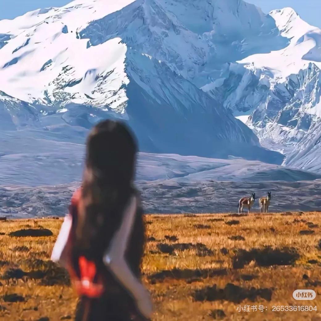 邯郸丛台大酒店 茶吧