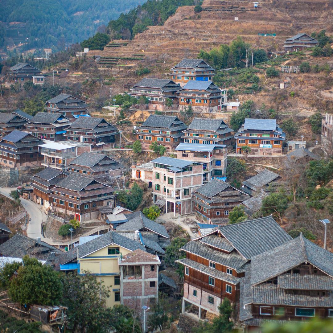 包杨
