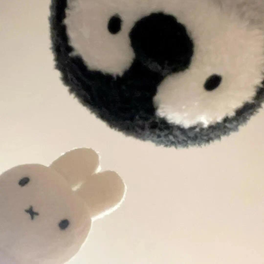 呆呆泽