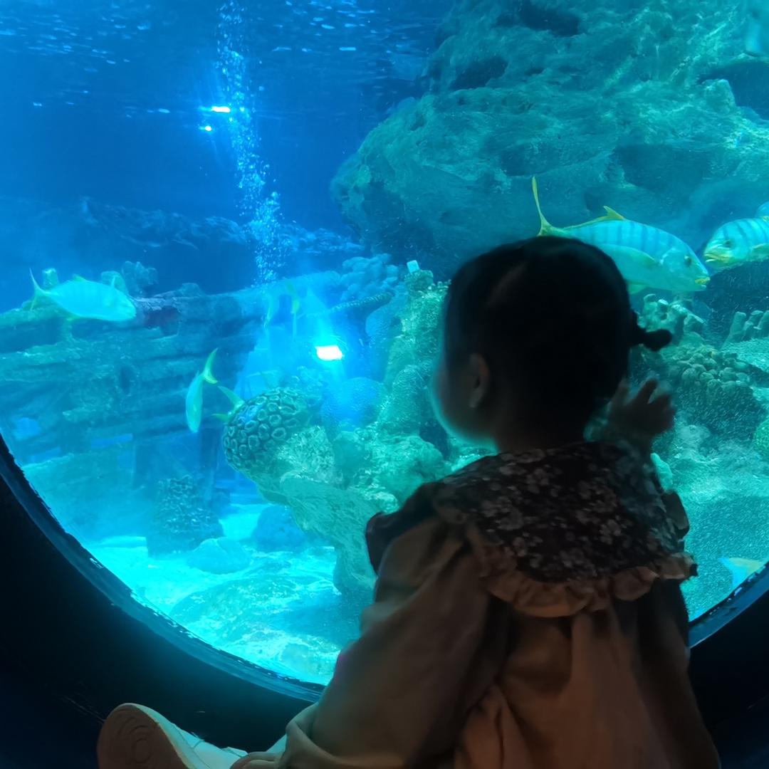 时过境迁