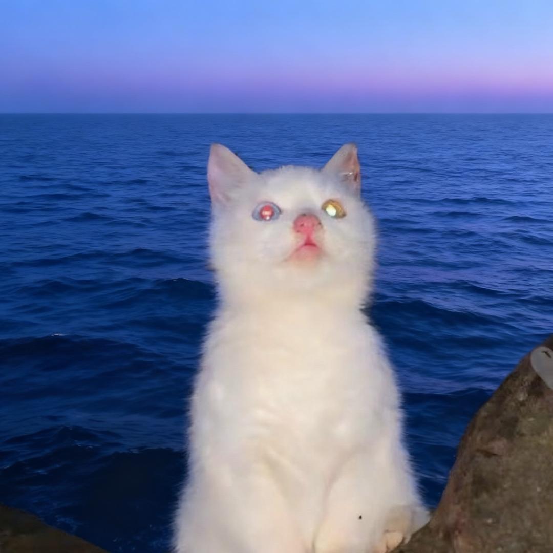 高冷的霸道总裁猛吸路边乞丐草莓味的嘎吱窝