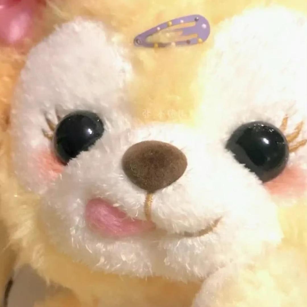 我是小猫人类的话我听不懂