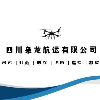 广元无人机吊运～枭龙航运