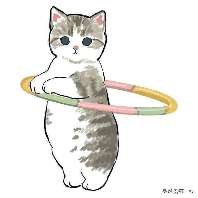 曾猫猫