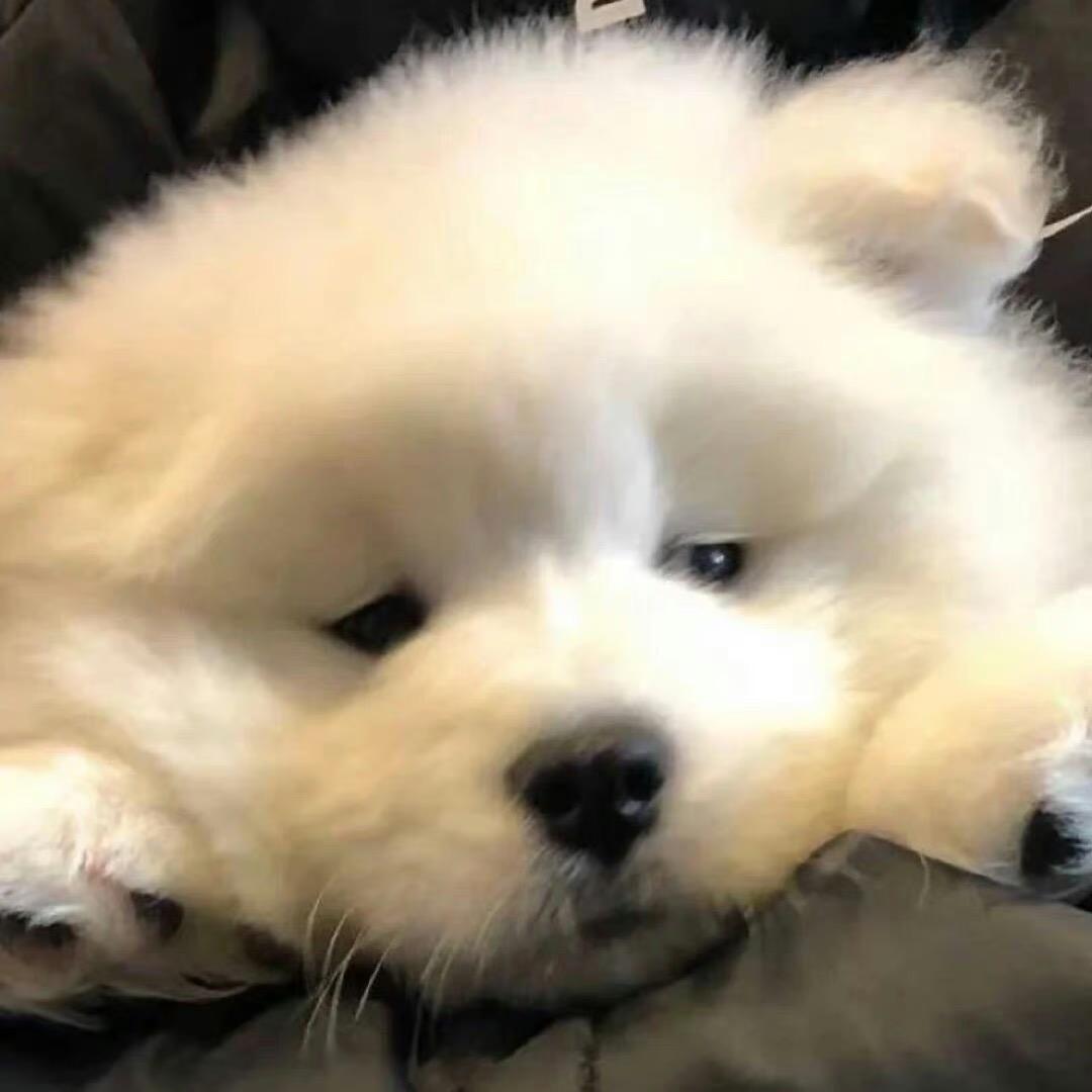 超喜欢你脸红